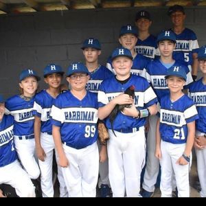 Meet your Posher, Bridget